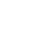 Texas's Logo